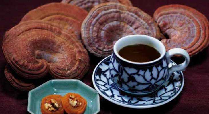قهوه گانودرما