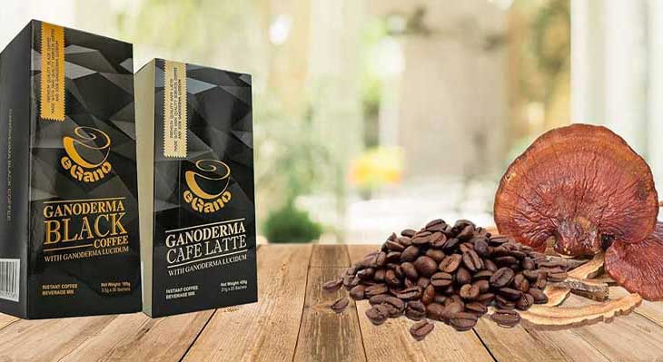 قهوه گانودرما